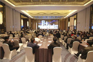 地市財經頻道會議服務 推動地方經濟協同發展的重要紐帶